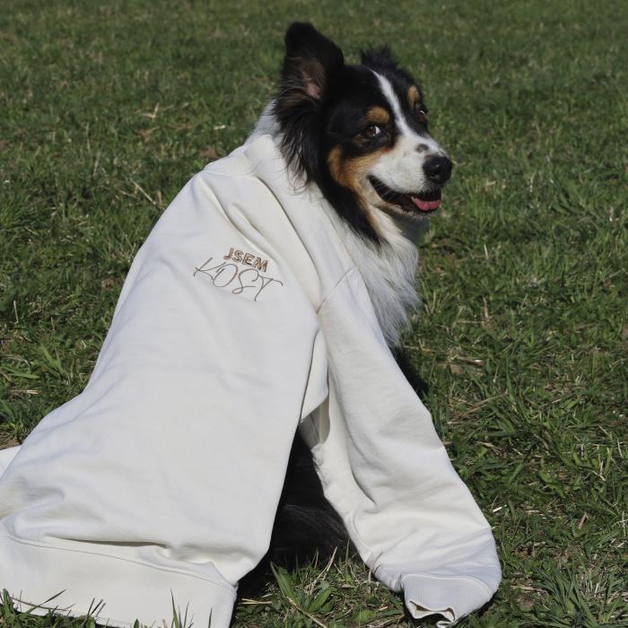 Mikina FALCO JSEM KOST