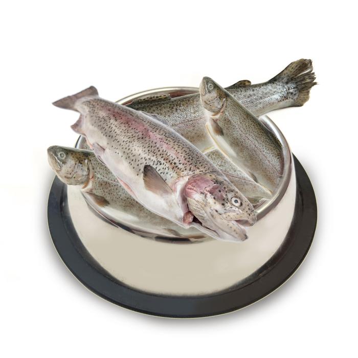 Pstruh kuchaný 1kg