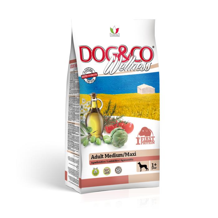 DOG&CO wellness adult medium/maxi jehněčí s rýží 12kg