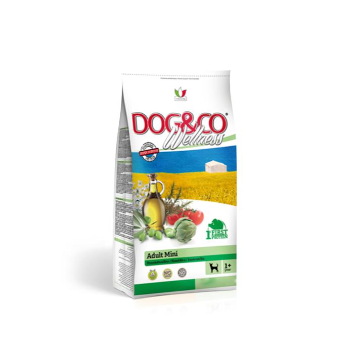 DOG&CO wellness adult mini šunka s rýží 2,5kg